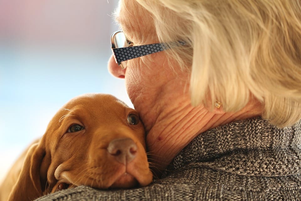 older people get dogs at home