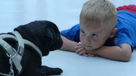 Why you should you get a pet for your kids: Pros and Cons